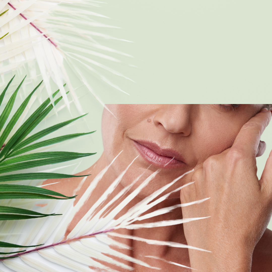 Crèmes Hydratantes Visage